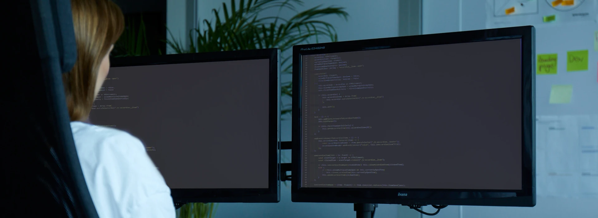 Programistka GOGOmedia